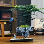 木森花境抖音达人头像