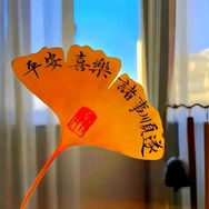 小星星抖音达人头像