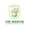 成长树家庭动力密码抖音达人头像