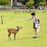 懒大王Landw抖音达人头像
