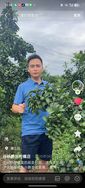 徐鹏说柑橘店抖音达人头像