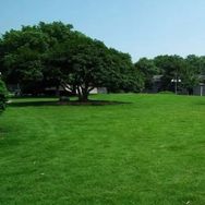 聚盼园艺旗舰店抖音号头像