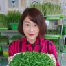 爱家菜园抖音达人头像