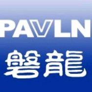 磐龙安全技术有限公司抖音达人头像