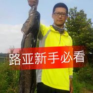 大伟～路亚试钓师抖音达人头像