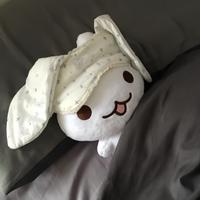 吐司耶耶抖音达人头像