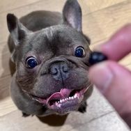 石头先生抖音达人头像