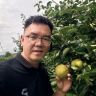湘味老陈抖音达人头像