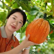 兆如丰农资大师姐抖音号头像