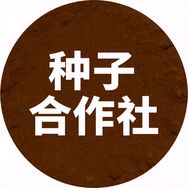 蒙科种子铺抖音号头像