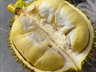 京唐鲜生鲜榴莲6店抖音号头像