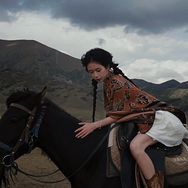 曾条鱼抖音达人头像