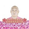 兽医动物萌宠异宠咨询（专注宠物猫狗问题）抖音达人头像