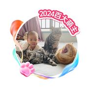 JoJo也是铲屎官抖音达人头像