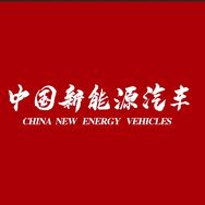 中国新能源汽车抖音达人头像