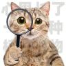 猫大王🐱🐱🐱抖音达人头像