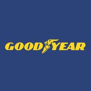 GOODYEAR固特异造梦树汽车用品专卖店抖音达人头像