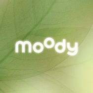 moody官方旗舰店抖音号头像