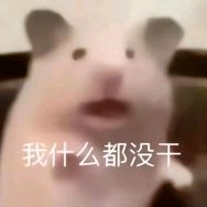 蟹黄荔枝包子抖音达人头像