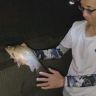 平水和两目抖音达人头像