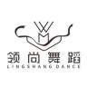 襄阳领尚拉丁舞抖音达人头像