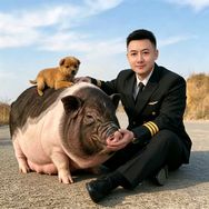 隋宏伟🌞抖音达人头像