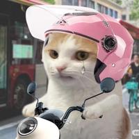 meme的爆米花抖音达人头像