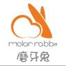 Molar Rabbit官方旗舰店直播号抖音达人头像