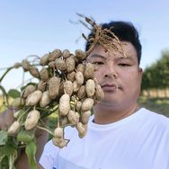 新农人王磊农资抖音达人头像