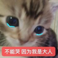 凡凡大王（求关注版）抖音达人头像