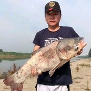 毛子哥钓鱼🎣抖音达人头像
