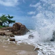 蓬莱仙岛好水海鲜抖音号头像