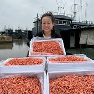 嘻萌鲜骏泽专卖店抖音达人头像