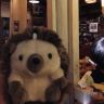 刺猬小姐🦔抖音达人头像