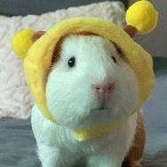 小八嘎coco和nono抖音达人头像