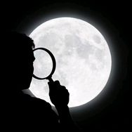洋月亮鉴定师抖音达人头像