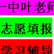 叶老师聊志愿抖音达人头像