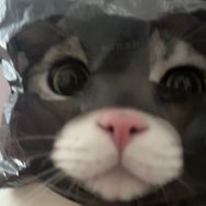 十三快变胖抖音达人头像