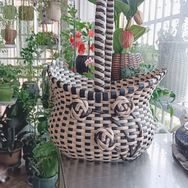 莲姐花篮抖音达人头像