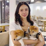 养宠辅导员｜鲜朗猫粮68/包狗粮58/包抖音达人头像