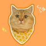 宠大头猫猫铺抖音达人头像