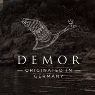 demor羽绒旗舰店抖音达人头像
