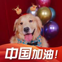 金毛大面包抖音达人头像