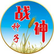 种子战神抖音达人头像