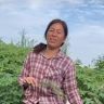 三个孩子的妈妈🌳（吴姐）抖音达人头像