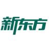 新东方KET进阶抖音达人头像
