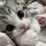 坦克一斤半🐱抖音达人头像