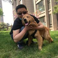 燕郊老张聊房(胜珏)抖音达人头像