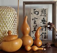 葫芦小院抖音达人头像