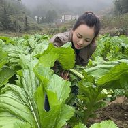 李乡的何妹抖音达人头像